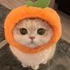 橙橙成