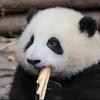 今天要吃六碗饭