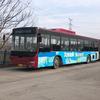 石家庄公交迷