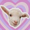 🐑y
