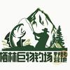 栖林巨物钓场野烤营地官方号