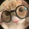 有点猫饼🫓