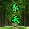 春天