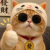 该说说、～该停停