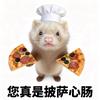 啾啾星子💫