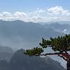 @ღ᭄ꦿ无期꧔ꦿ້໌ᮨ࿐