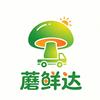 浙江军哥（专业版）