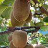 只是来体验生命