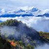 望山揽八方财