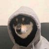 @/今晚不想动