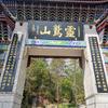 蹦个傣迪