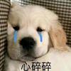 落头像