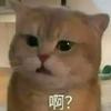 不会取名