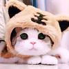 爱吃甜品