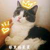 闭眼听风ʕ∙ჲ∙ʔ