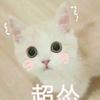 百夫的长河U