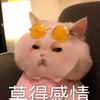 特曼