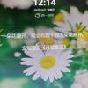 大黄蜂
