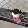 小小兔