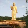 水灵灵美容养生