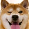 自律
