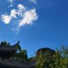 根子