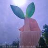 匆匆岁月（涨粉中）