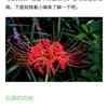 单身狗