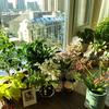 米雪的花花世界