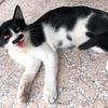 ꧁༺๑邓等我💕猪饲廖๑༻꧂