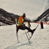 🌈失雪过多🌈
