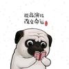 动特哇瑞