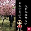 忍