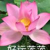 智慧谷