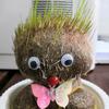 龍荇天芐