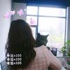 藜藜子