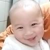 小燕子（有关必回）