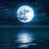 🌙到中秋分外明