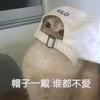 努力当一个很哇塞的boy