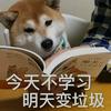学习使我快乐