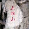 一生有你