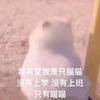 毕十三