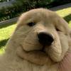 我很冷静@