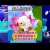 露思的小猫