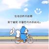 翻抖宠