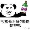 逗先生