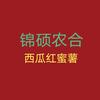 西瓜红蜜薯(锦硕农合)