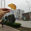 换个昵称