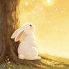 晚风失了约♡̶