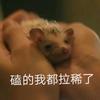 叫什么好呢